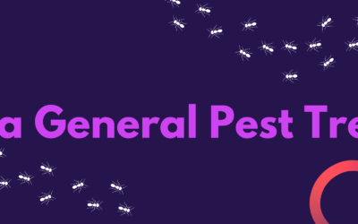 What is a General Pest Treatment