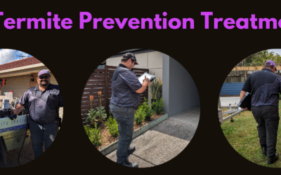 How Much Does a Termite Prevention Treatment (Barrier) cost?